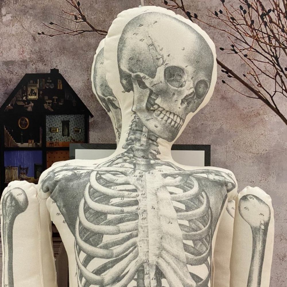 ISO JOHN DERIAN SKELETON PILLOW FROM TARGET